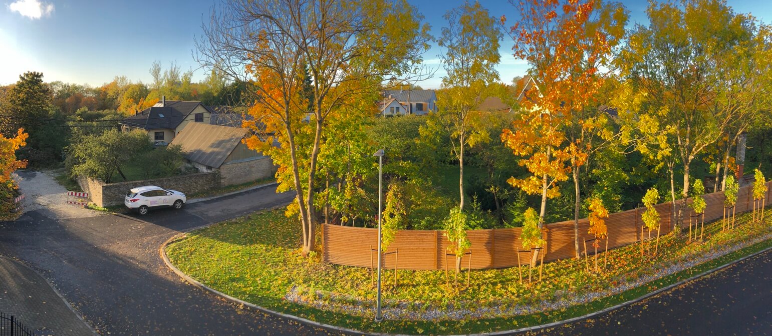 Landscaping in the autumn season: maintenance of the territory, leaves cleaning and the last lawn mowing  before winter
